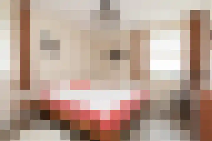 het Schut 1 207 Sneek thumbnail 28