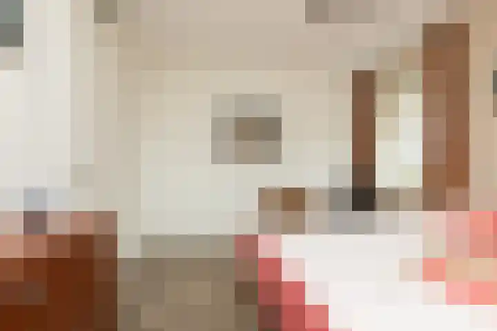 het Schut 1 207 Sneek thumbnail 29