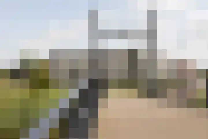 het Schut 1 207 Sneek foto 3