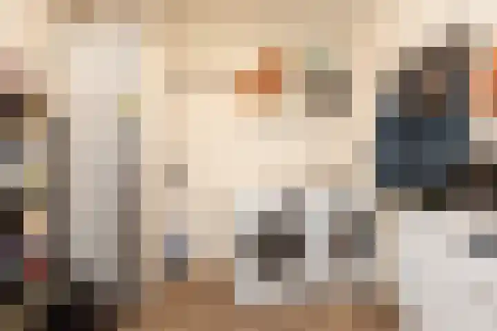 het Schut 1 207 Sneek thumbnail 30