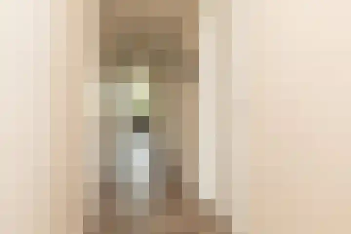 het Schut 1 207 Sneek thumbnail 31