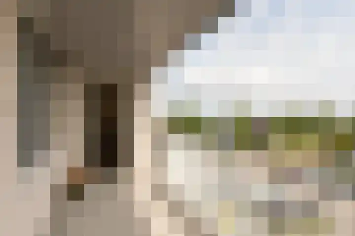 het Schut 1 207 Sneek thumbnail 34