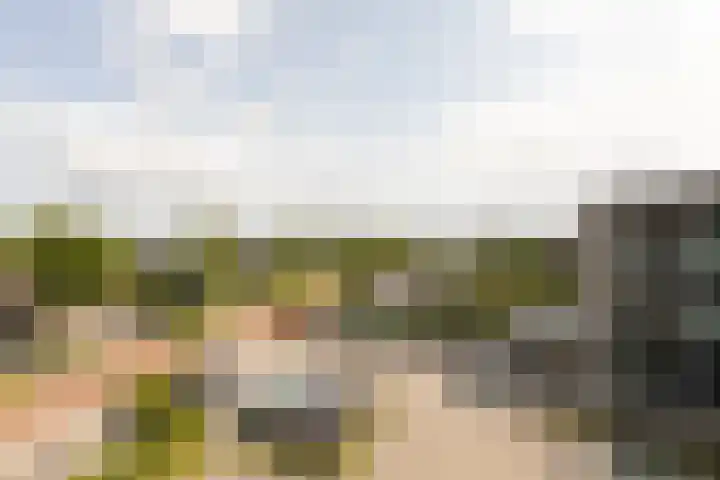 het Schut 1 207 Sneek thumbnail 36