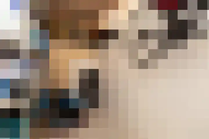 het Schut 1 207 Sneek thumbnail 39