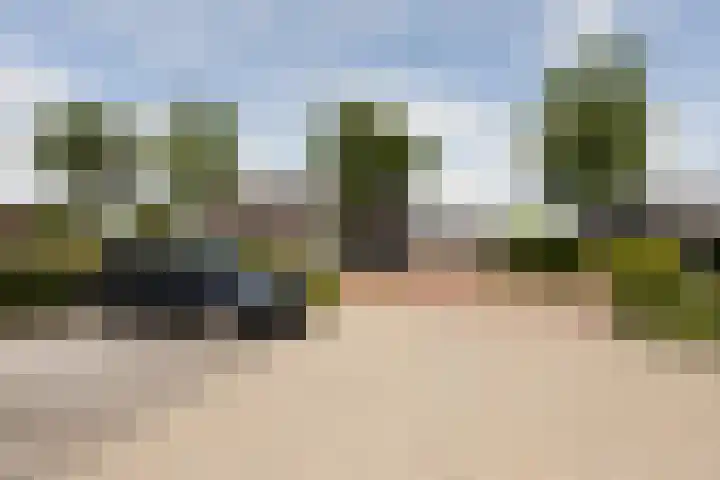 het Schut 1 207 Sneek thumbnail 42