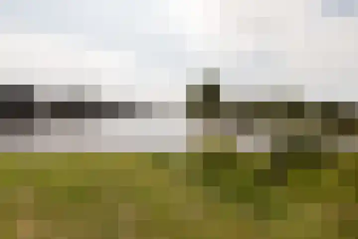 het Schut 1 207 Sneek thumbnail 44