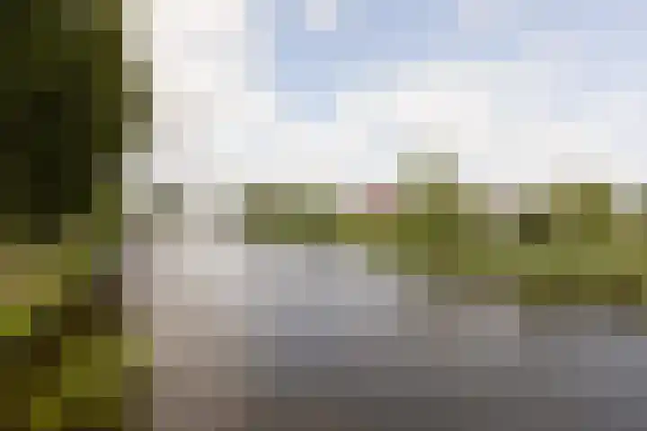 het Schut 1 207 Sneek thumbnail 45