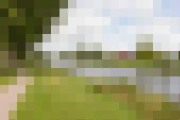 het Schut 1 207 Sneek thumbnail 46