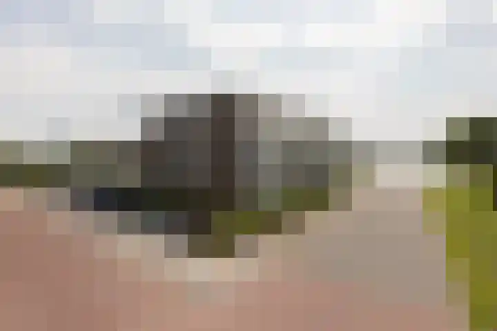 het Schut 1 207 Sneek thumbnail 5
