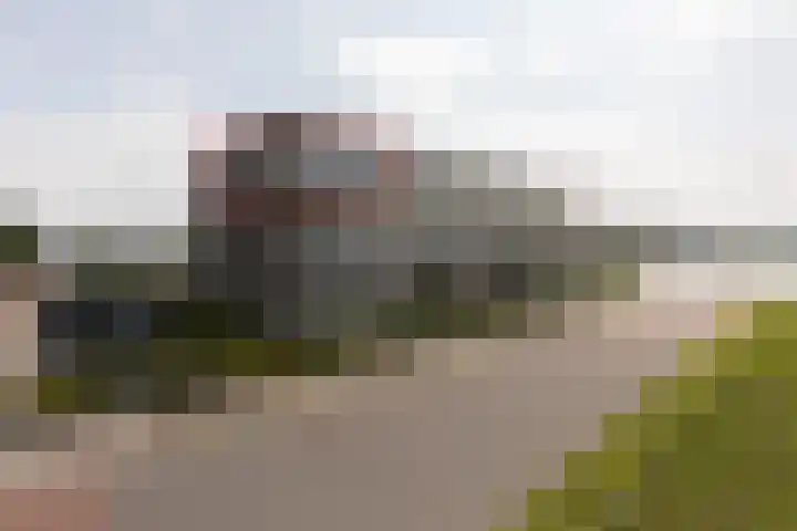 het Schut 1 207 Sneek thumbnail 6