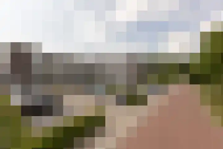 het Schut 1 207 Sneek thumbnail 7