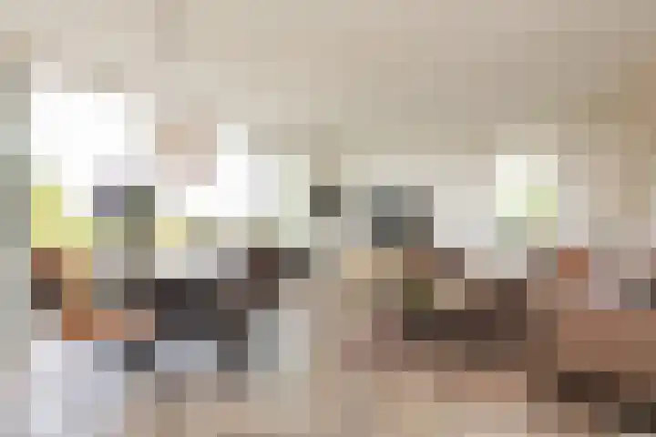 het Schut 1 207 Sneek thumbnail 8