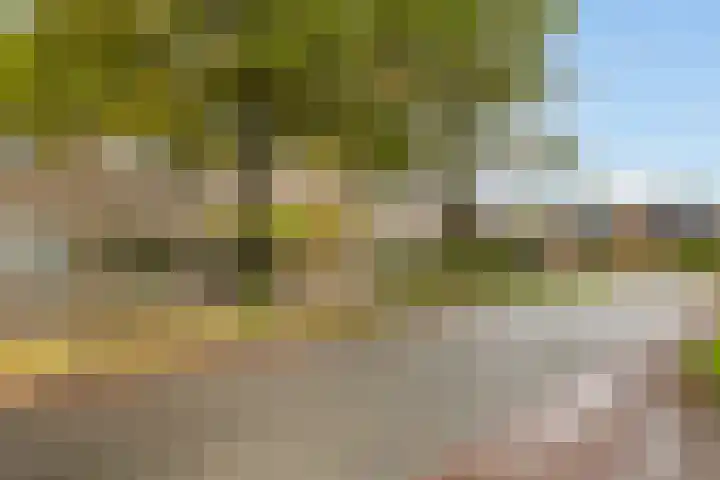 Het Schut 73 Schoonebeek thumbnail 10