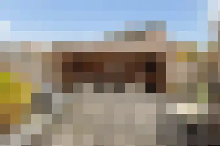 Het Schut 73 Schoonebeek thumbnail 14