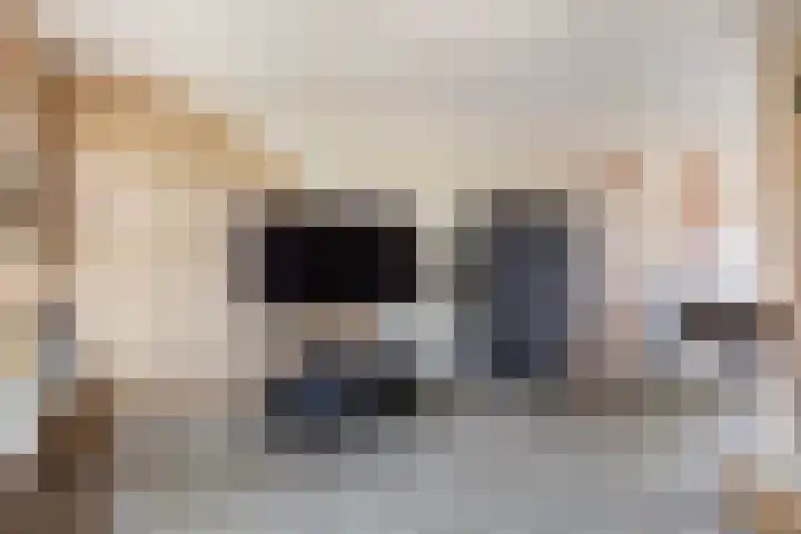 Het Schut 73 Schoonebeek thumbnail 19