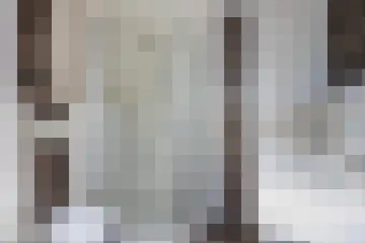 Het Schut 73 Schoonebeek thumbnail 32