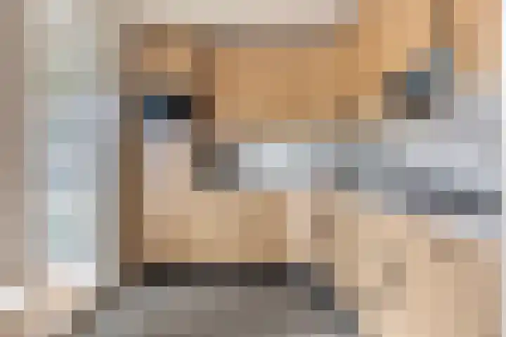 Het Schut 73 Schoonebeek thumbnail 4