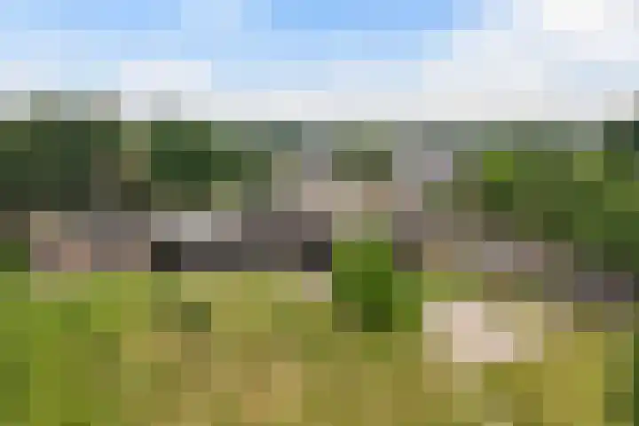 Het Schut 73 Schoonebeek thumbnail 43