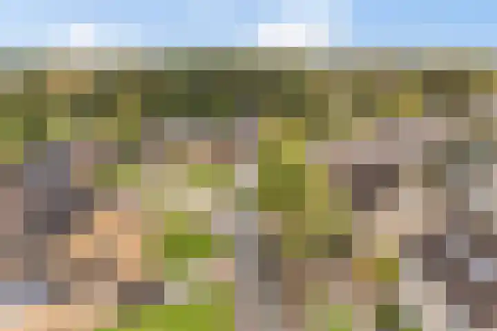 Het Schut 73 Schoonebeek thumbnail 6