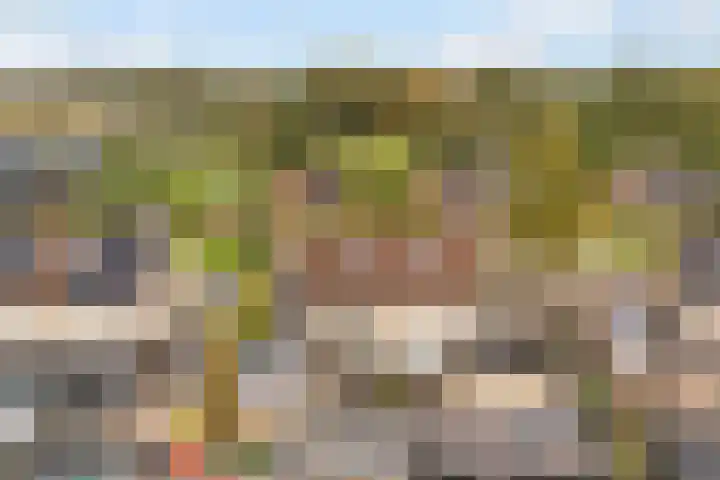 Het Schut 73 Schoonebeek thumbnail 7