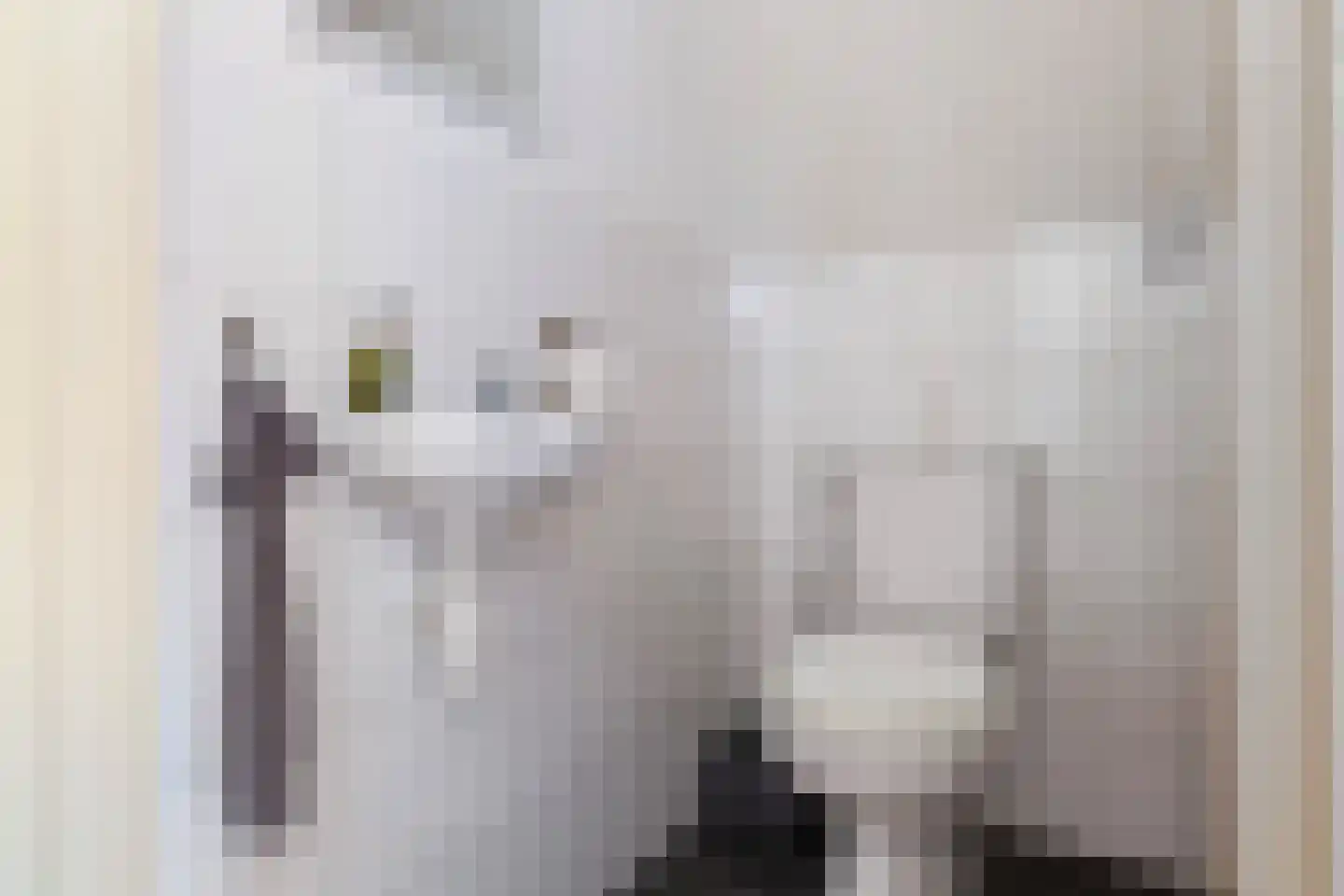 Het Slag 1 Zwartemeer thumbnail 26
