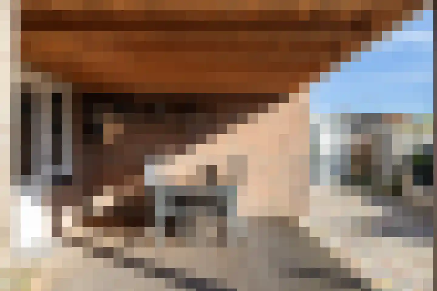Het Slag 1 Zwartemeer thumbnail 37