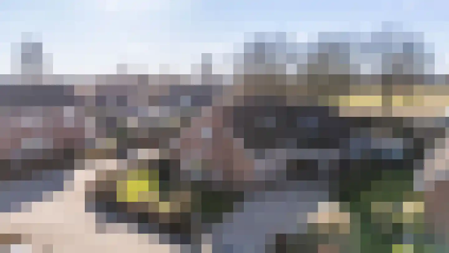 Het Slag 1 Zwartemeer thumbnail 46