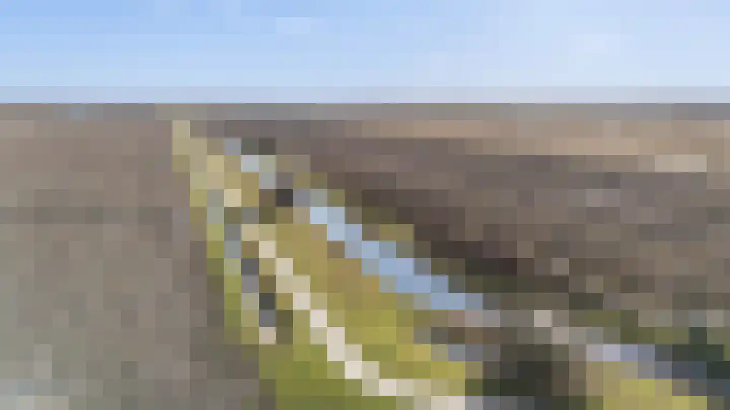 Het Slag 1 Zwartemeer thumbnail 50