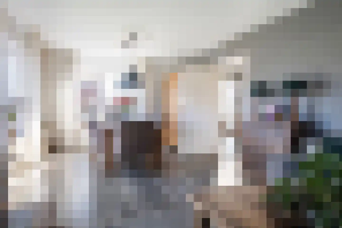 Het Slag 1 Zwartemeer thumbnail 8