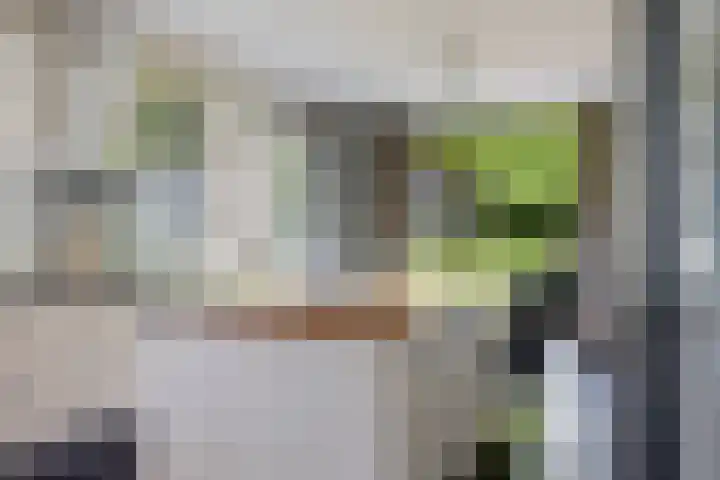 Het Slag 3 Zwartemeer thumbnail 11