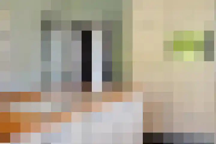 Het Slag 3 Zwartemeer thumbnail 12