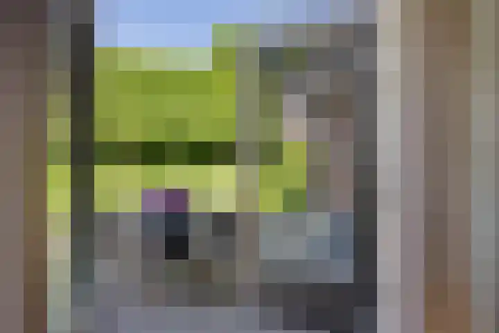 Het Slag 3 Zwartemeer thumbnail 13