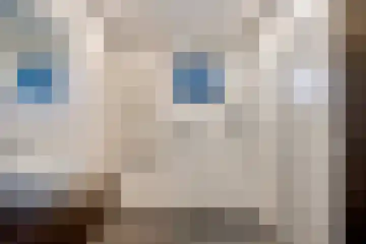 Het Slag 3 Zwartemeer thumbnail 16