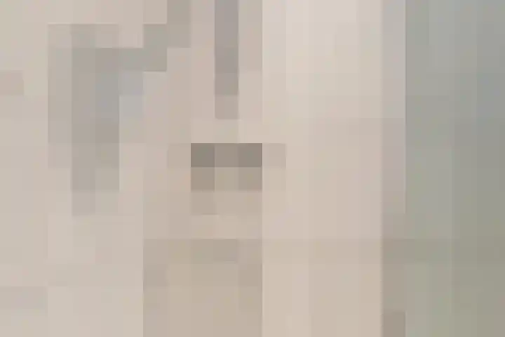 Het Slag 3 Zwartemeer thumbnail 18