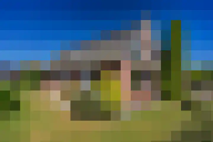 Het Slag 3 Zwartemeer foto 2