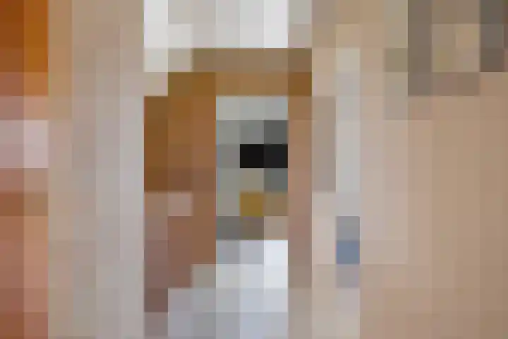Het Slag 3 Zwartemeer thumbnail 21