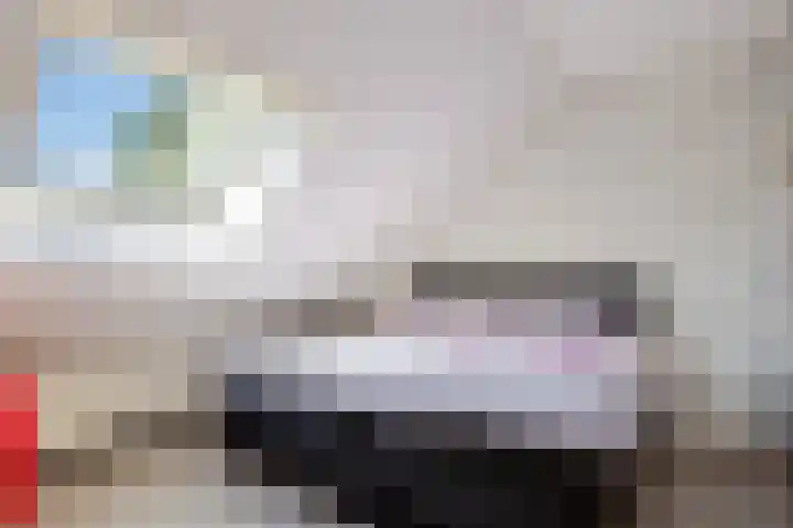 Het Slag 3 Zwartemeer thumbnail 22