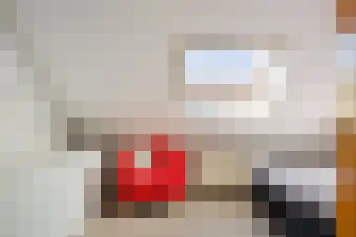 Het Slag 3 Zwartemeer thumbnail 23