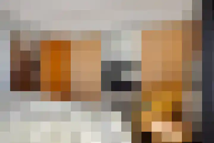 Het Slag 3 Zwartemeer thumbnail 25