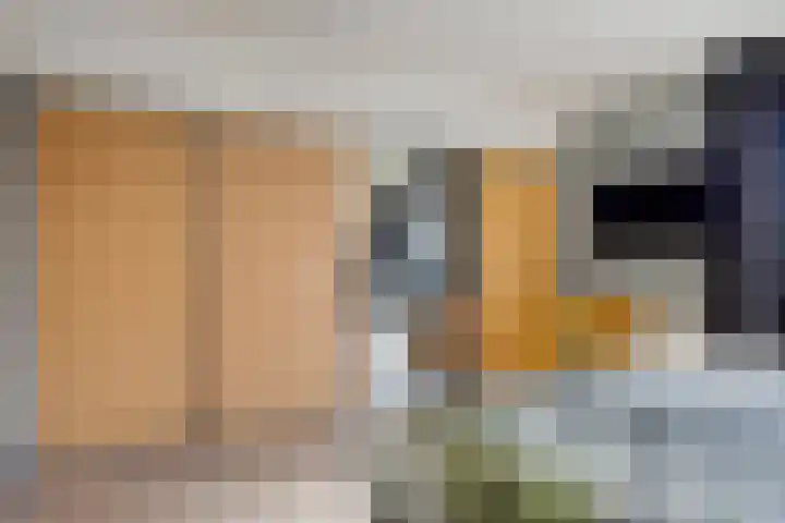 Het Slag 3 Zwartemeer thumbnail 26