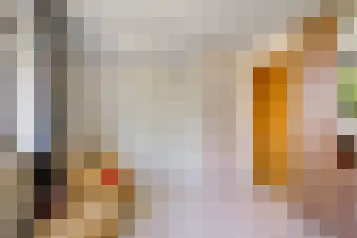 Het Slag 3 Zwartemeer thumbnail 27