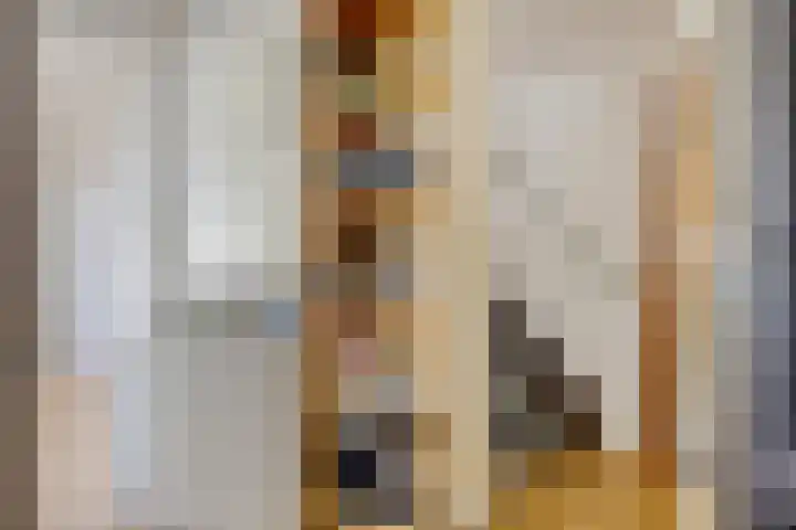 Het Slag 3 Zwartemeer thumbnail 30