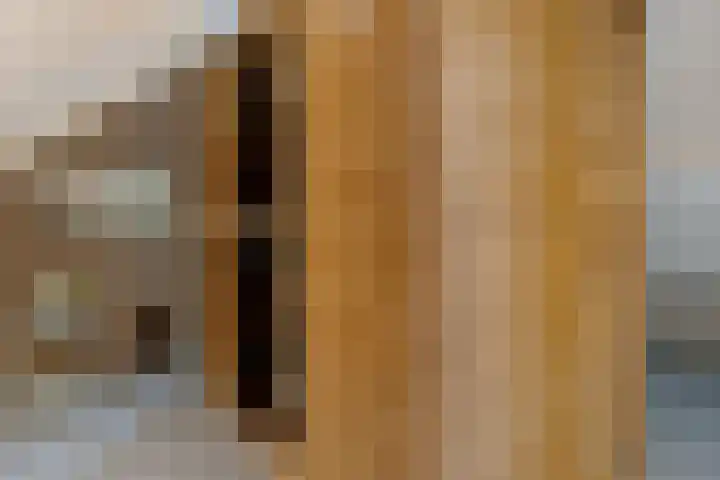 Het Slag 3 Zwartemeer thumbnail 31
