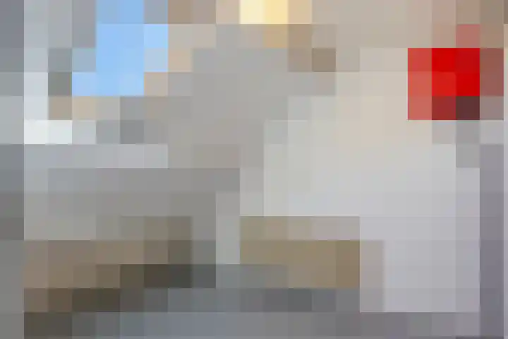 Het Slag 3 Zwartemeer thumbnail 32