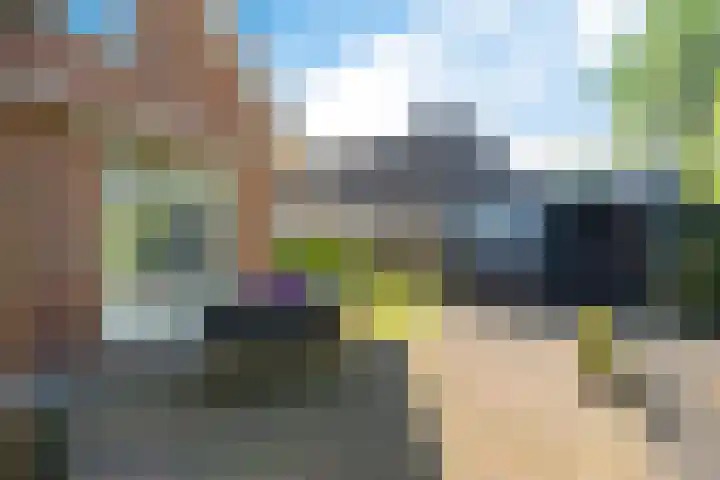 Het Slag 3 Zwartemeer thumbnail 34