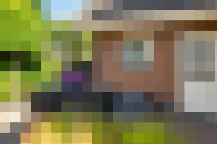 Het Slag 3 Zwartemeer thumbnail 35