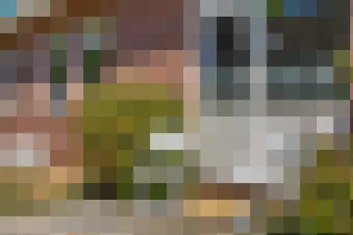 Het Slag 3 Zwartemeer thumbnail 36