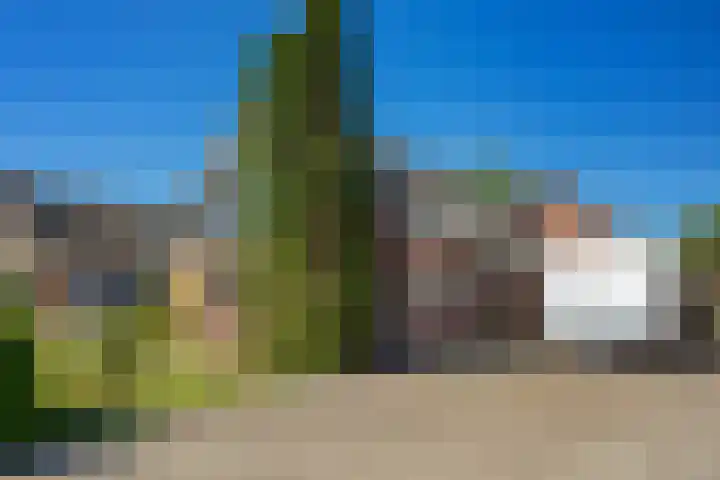 Het Slag 3 Zwartemeer thumbnail 37