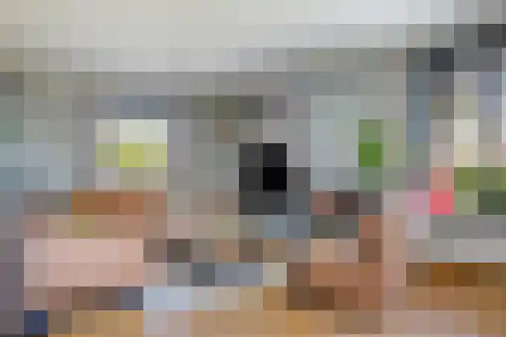 Het Slag 3 Zwartemeer thumbnail 4
