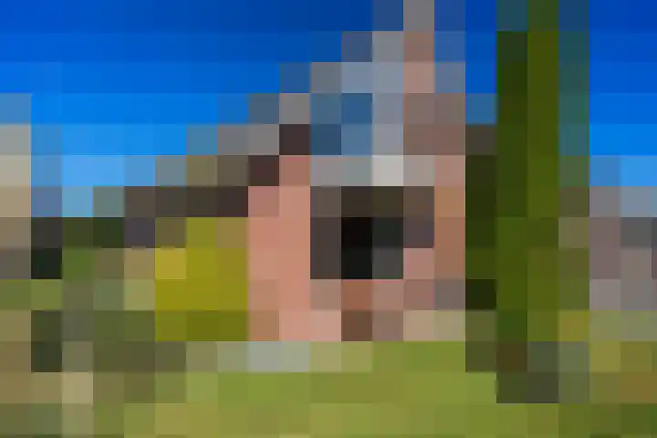 Het Slag 3 Zwartemeer thumbnail 42
